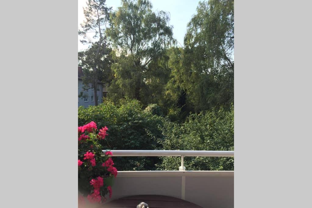 Bahnhofsnahe, Ruhige Und Sonnige 2 Zimmerwohnung Im Dichterviertel 威斯巴登 外观 照片